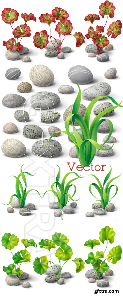 Pebbles and beautiful leaves in Vector
