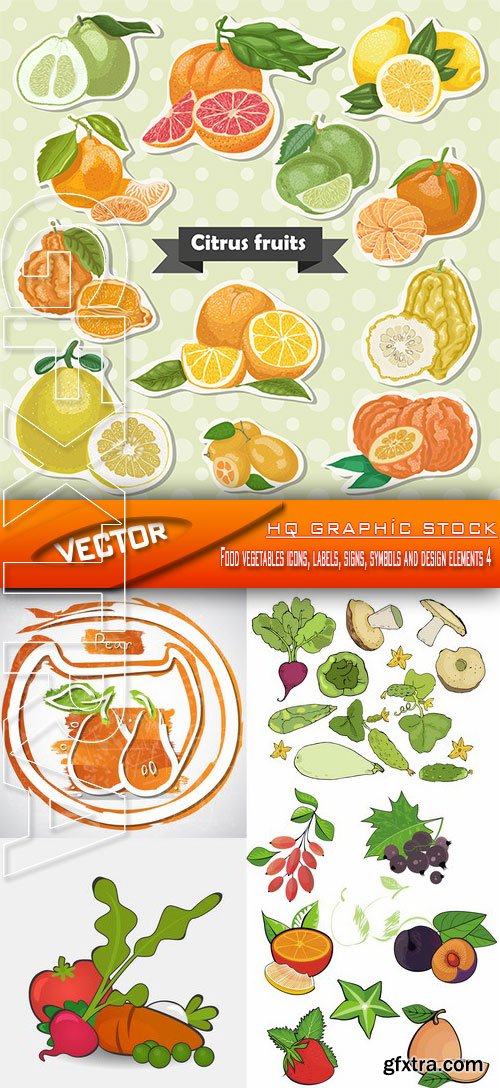 Stock Vector - Food vegetables icons, labels, signs, symbols and design elements 4