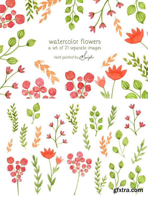 Watercolor Flowers - Floral Clipart