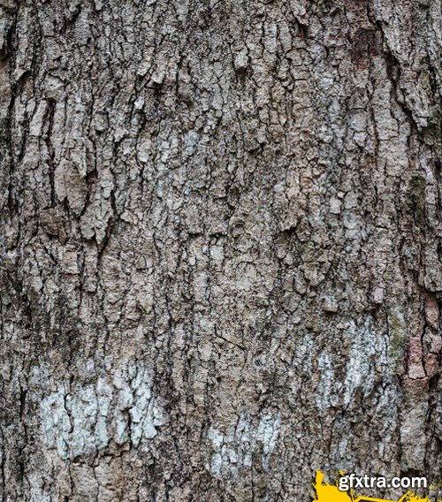 Stock Photos - Wood Textures 5, 25xJPG