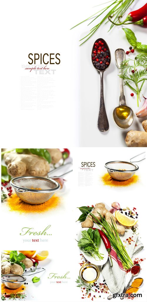 Spices, white background for your text - stock photos