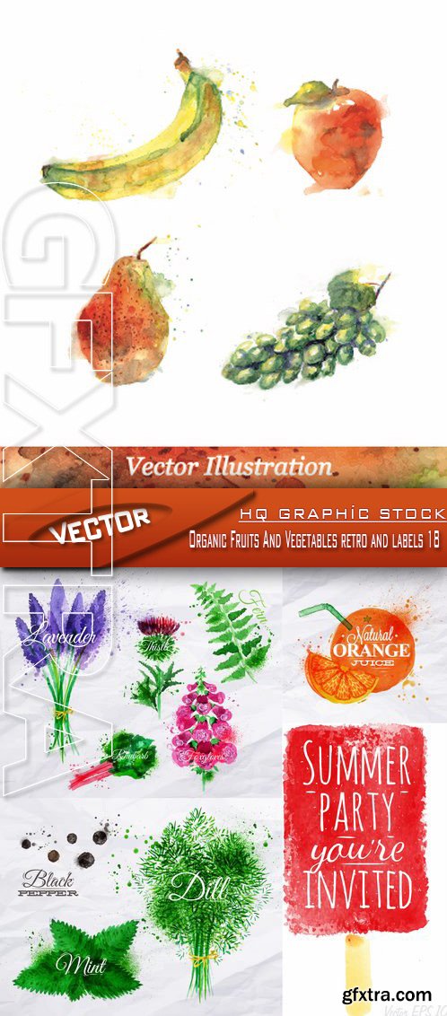 Stock Vector - Organic Fruits And Vegetables retro and labels 18
