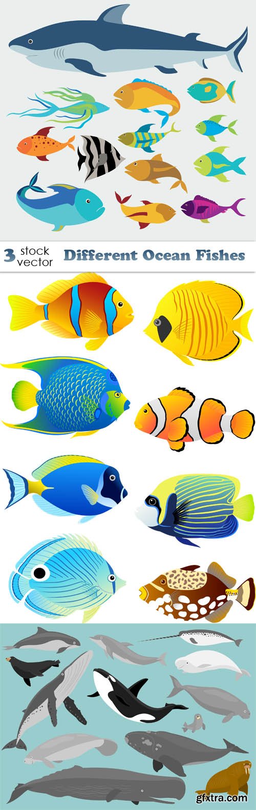 Vectors - Different Ocean Fishes