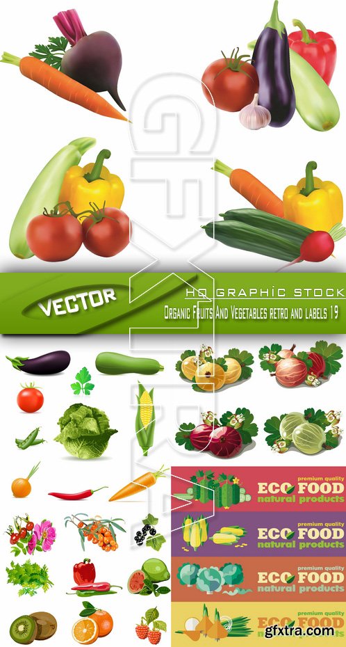 Stock Vector - Organic Fruits And Vegetables retro and labels 19