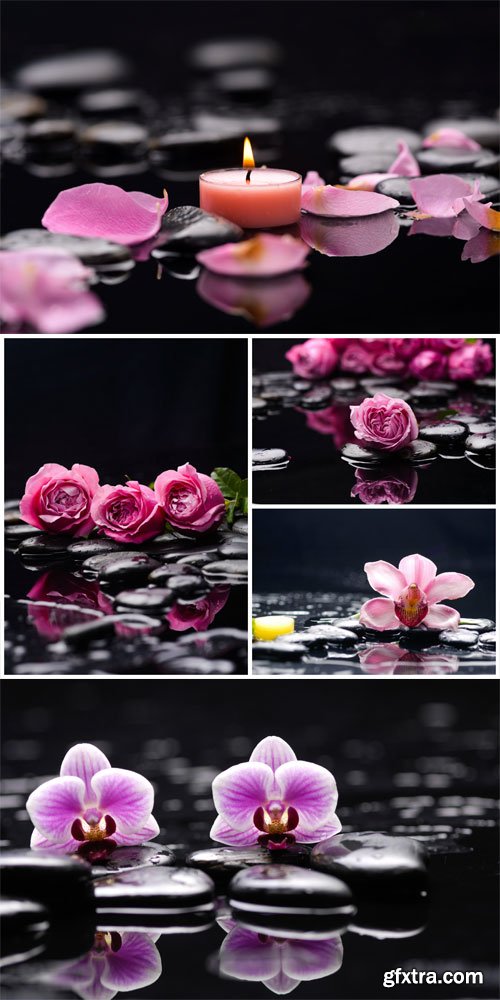 Spa background with roses and orchids - stock photos