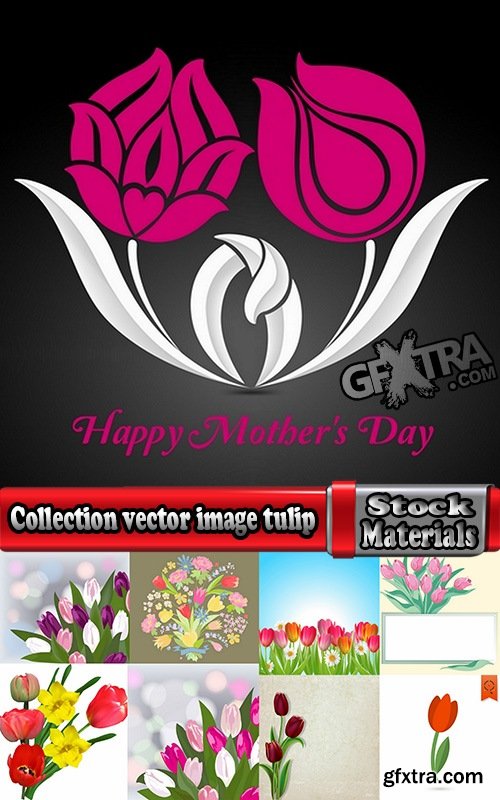 Collection vector image tulip 25 Eps