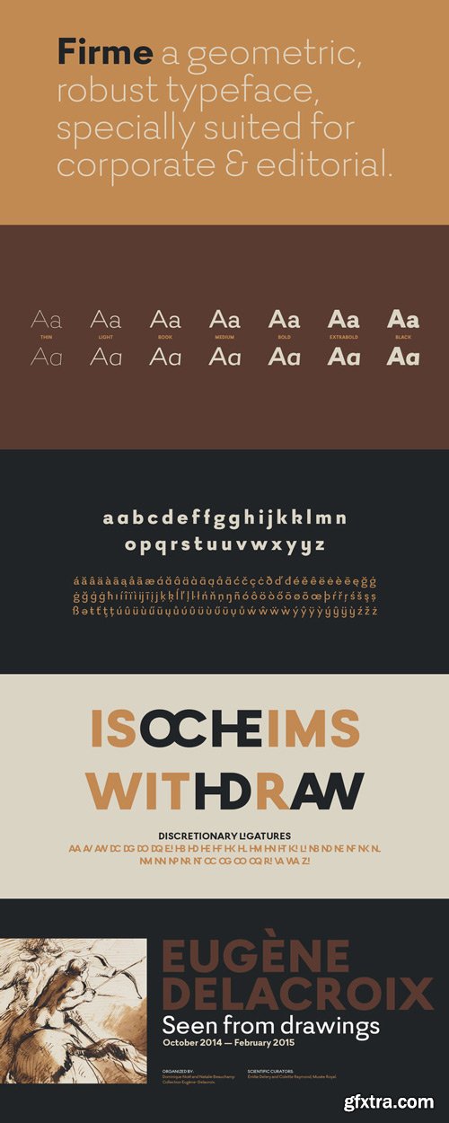 Firme Font Family $320