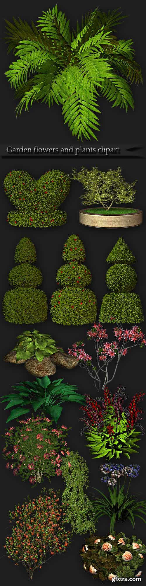 Garden flowers and plants clipart PNG