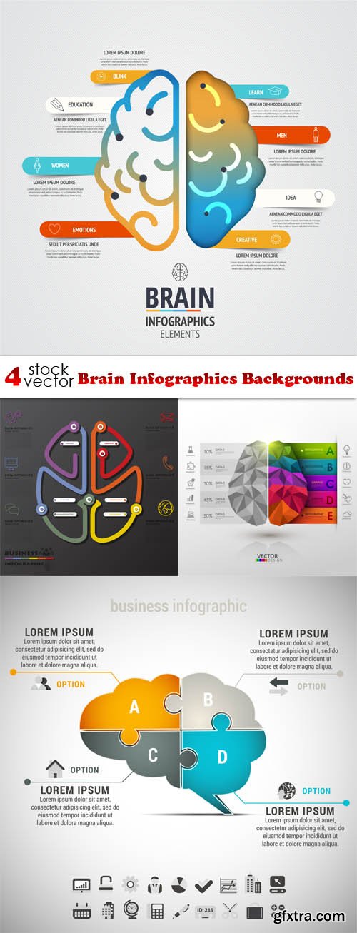 Vectors - Brain Infographics Backgrounds