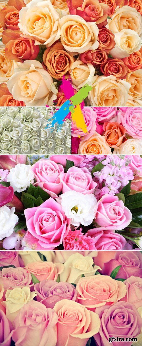 Stock Photo - Roses Backgrounds