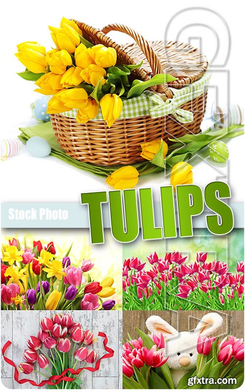 Tulips 2 - UHQ Stock Photo