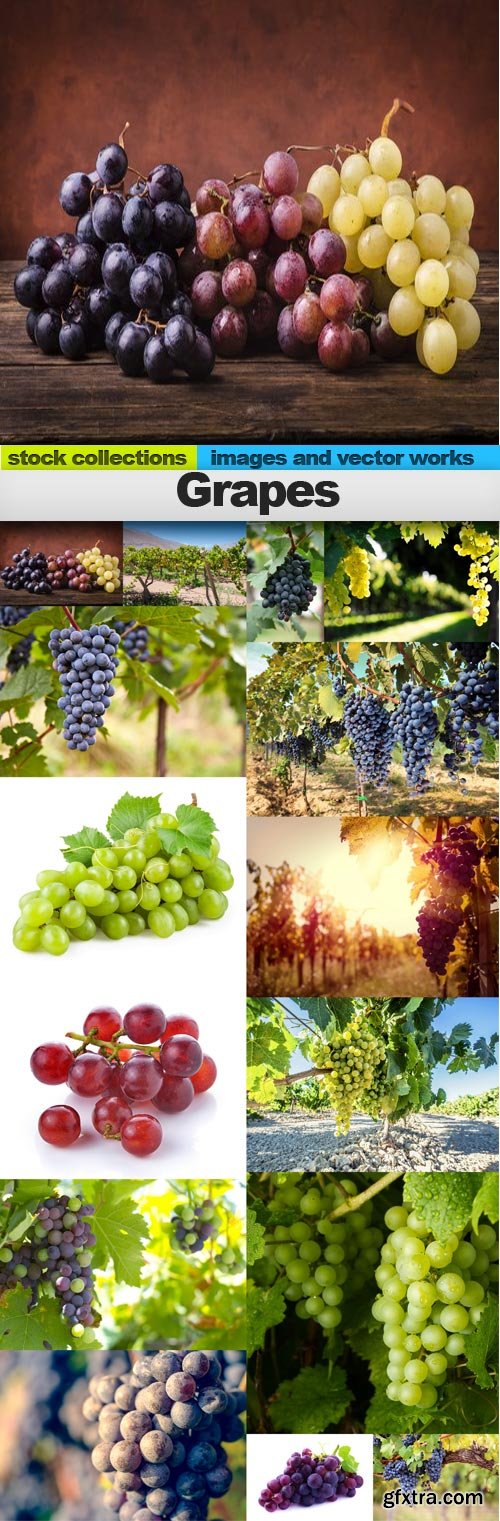 Grapes, 15 x UHQ JPEG