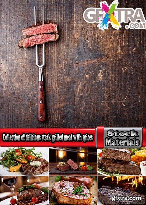 Collection of delicious steak grilled meat with spices 25 HQ Jpeg