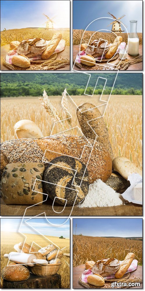 Bread and wheat cereal crops - Stock photo