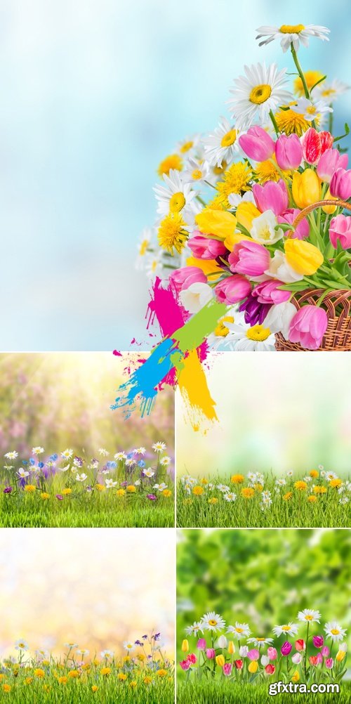 Stock Photo - Spring Flowers Cards 9