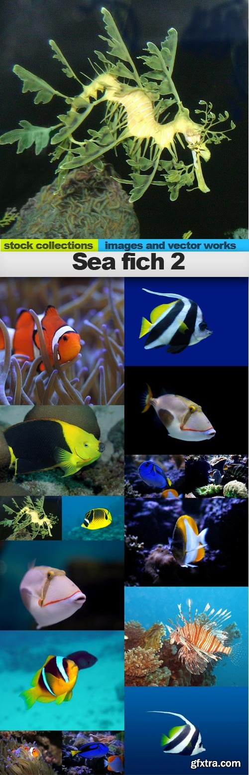 Sea fish 2, 15 x UHQ JPEG