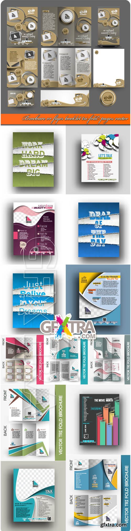 Brochure or flyer booklet tri-fold pages vector