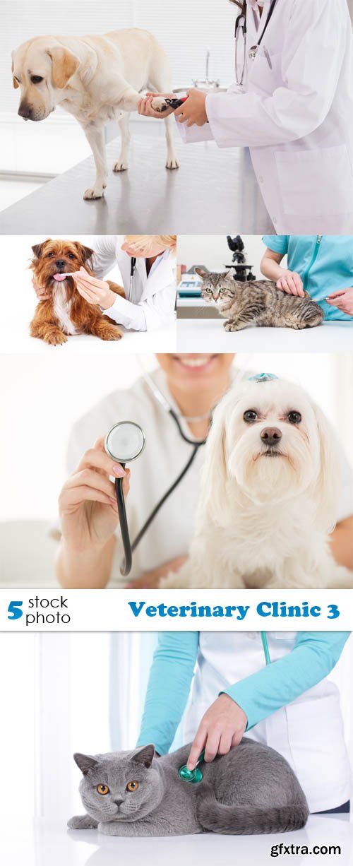 Photos - Veterinary Clinic 3