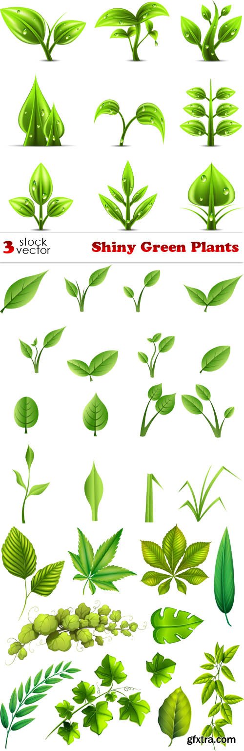 Vectors - Shiny Green Plants
