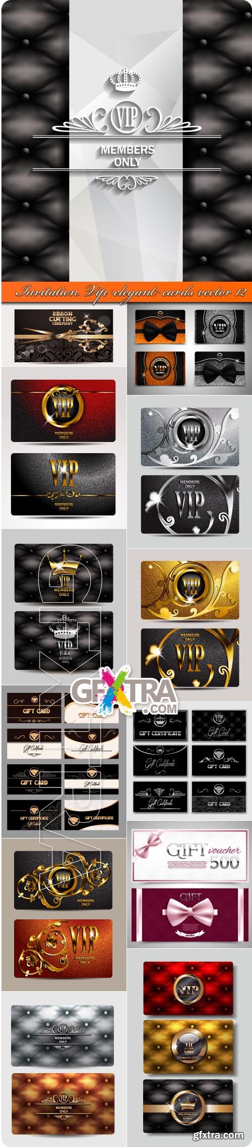 Invitation Vip elegant cards vector 12
