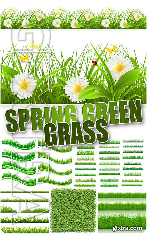 Spring grass - Stock Vectors