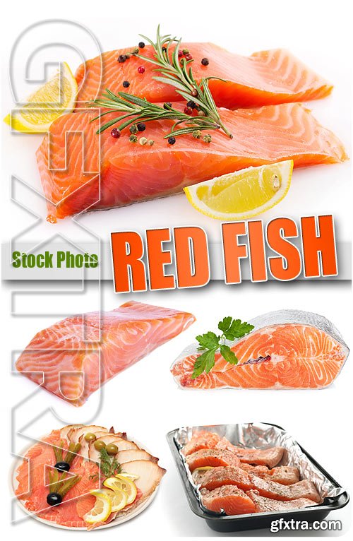 Red Fish - UHQ Stock Photo