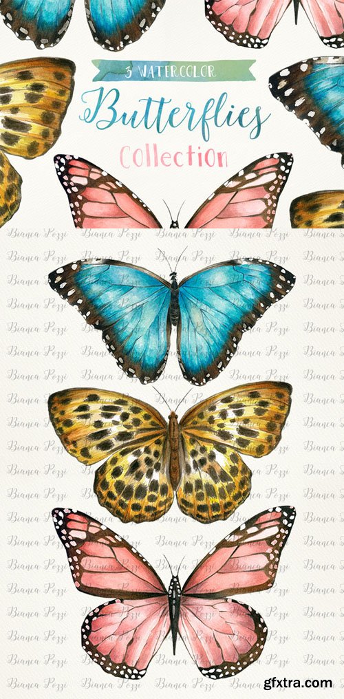 3 Watercolor Butterflies - CM 198350