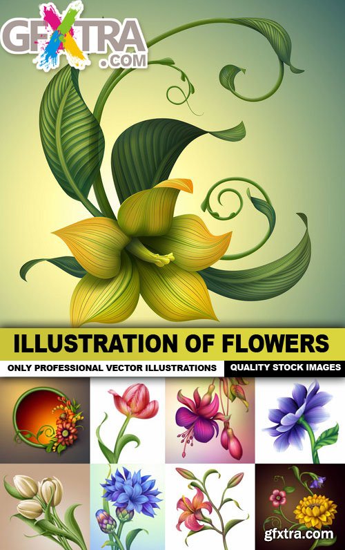 Illustration Of Flowers - 25 HQ Images