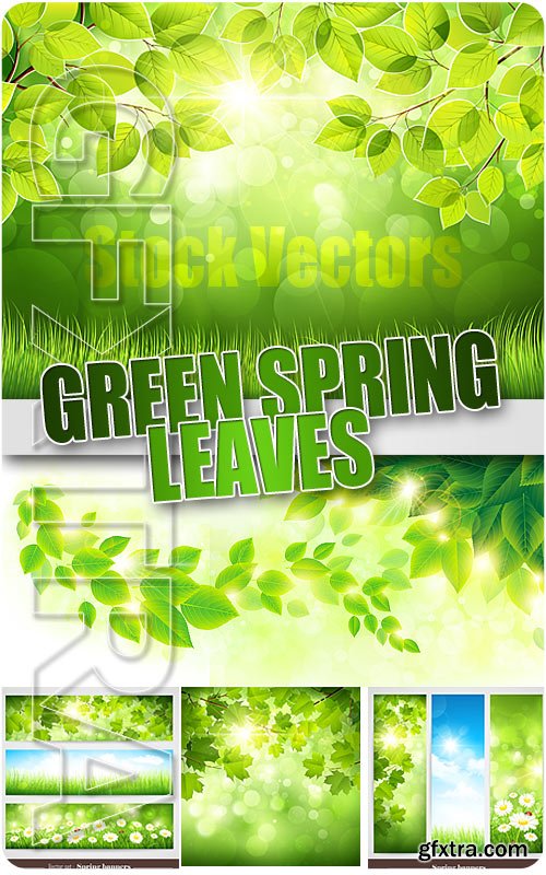 Green spring leaves - Stock Vectors