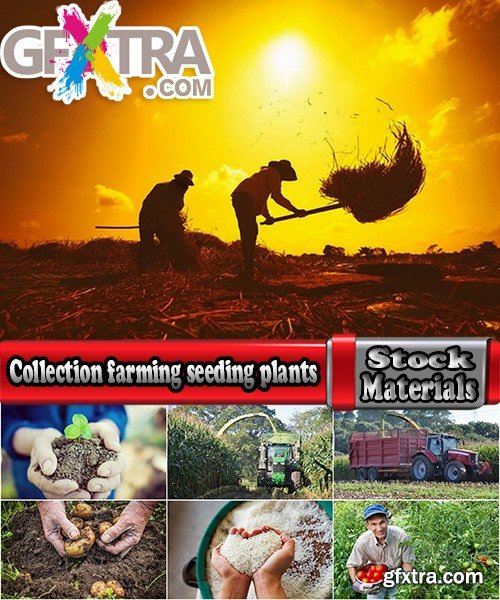 Collection farming seeding plants sprout earth bed 2-25 HQ Jpeg