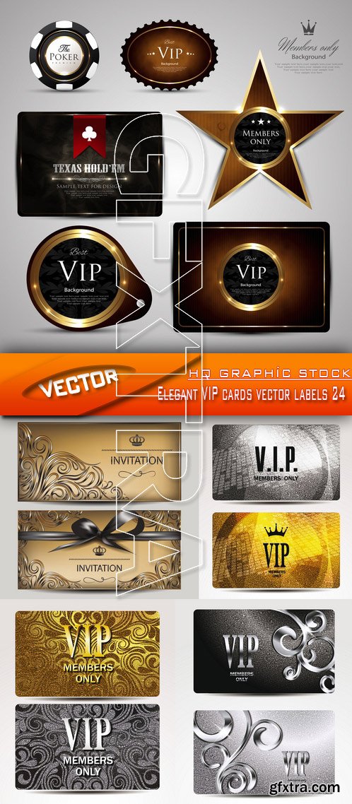 Stock Vector - Elegant VIP cards vector labels 24