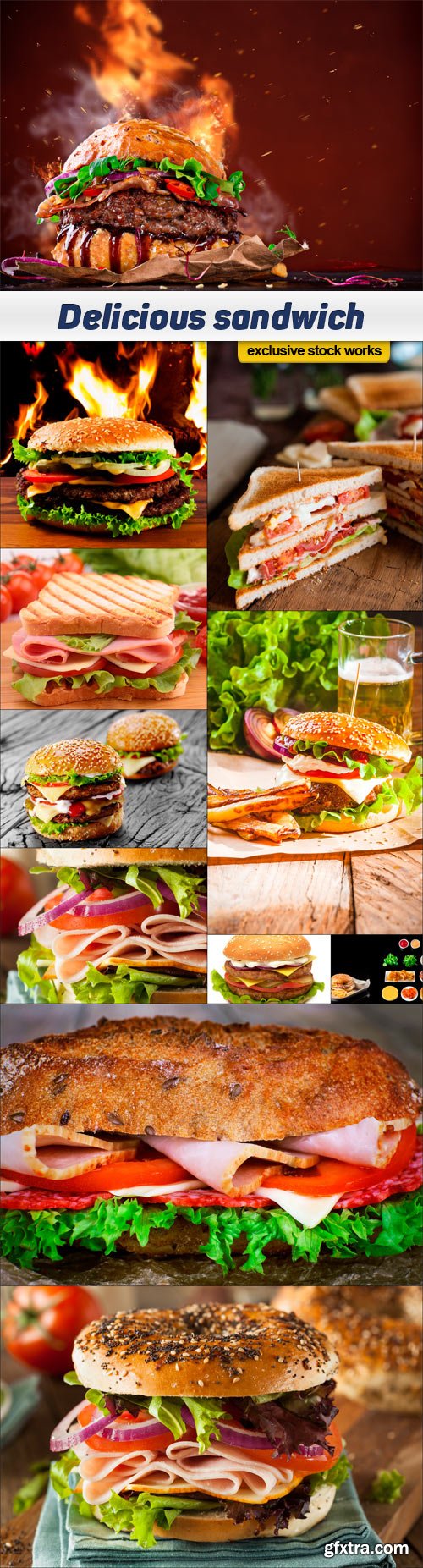 Delicious sandwich 11x JPEG