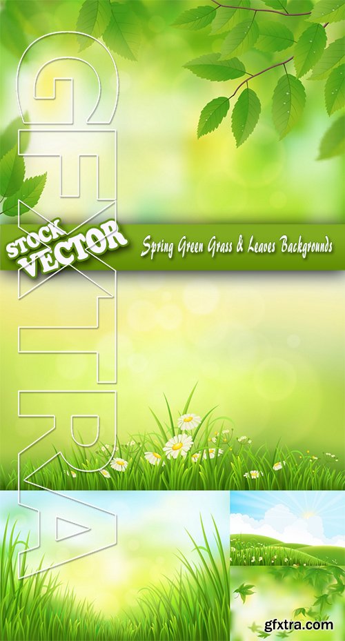 Stock Vector - Spring Green Grass & Leaves Backgrounds