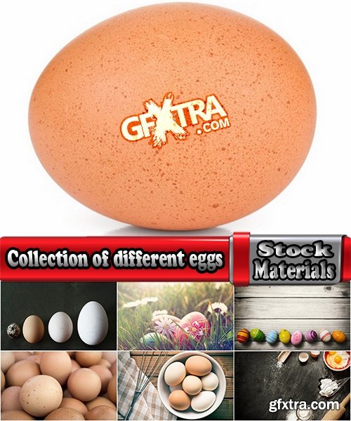 Collection of different eggs in the nest Easter Egg 25 HQ Jpeg