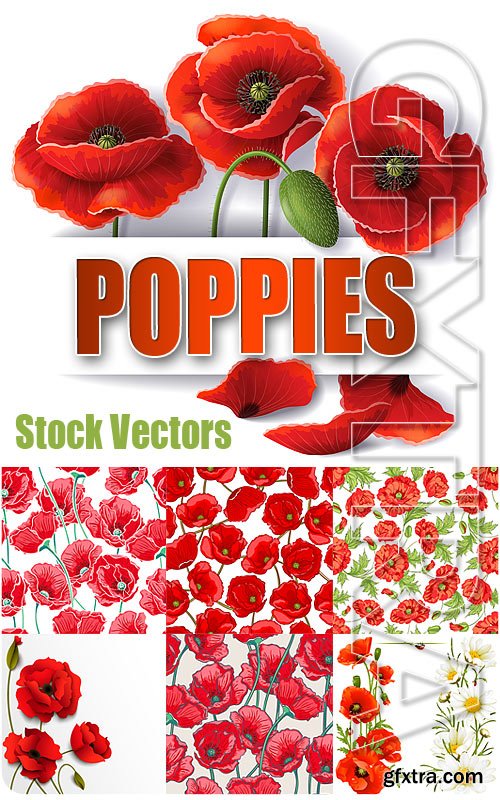 Poppy - Stock Vectors