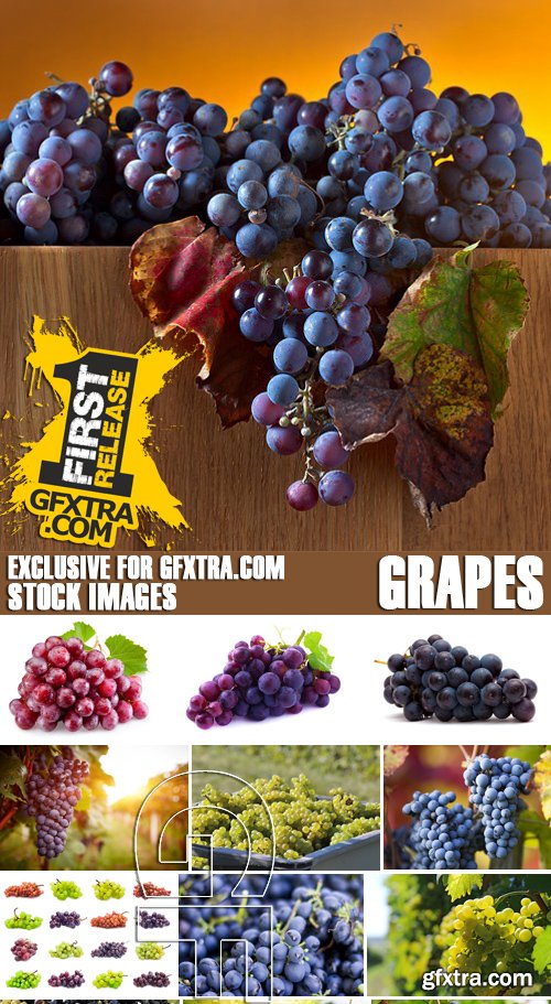Stock Photos - Grapes, 25xJPG