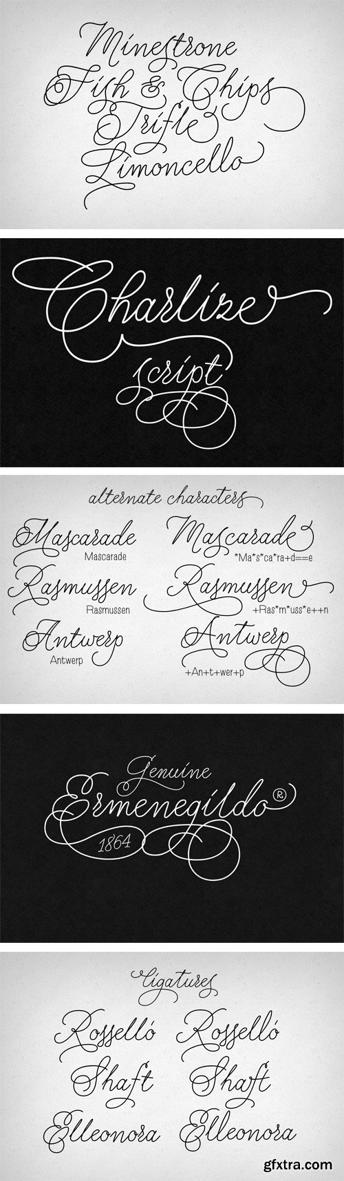 Charlize Script Font