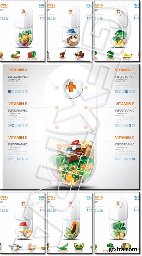 Vitamin A, B, C, D Chart Diagram Health And Medical Infographic - Vector