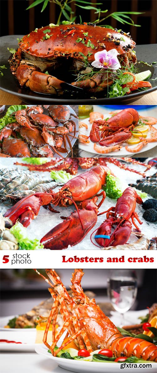 Photos - Lobsters and crabs
