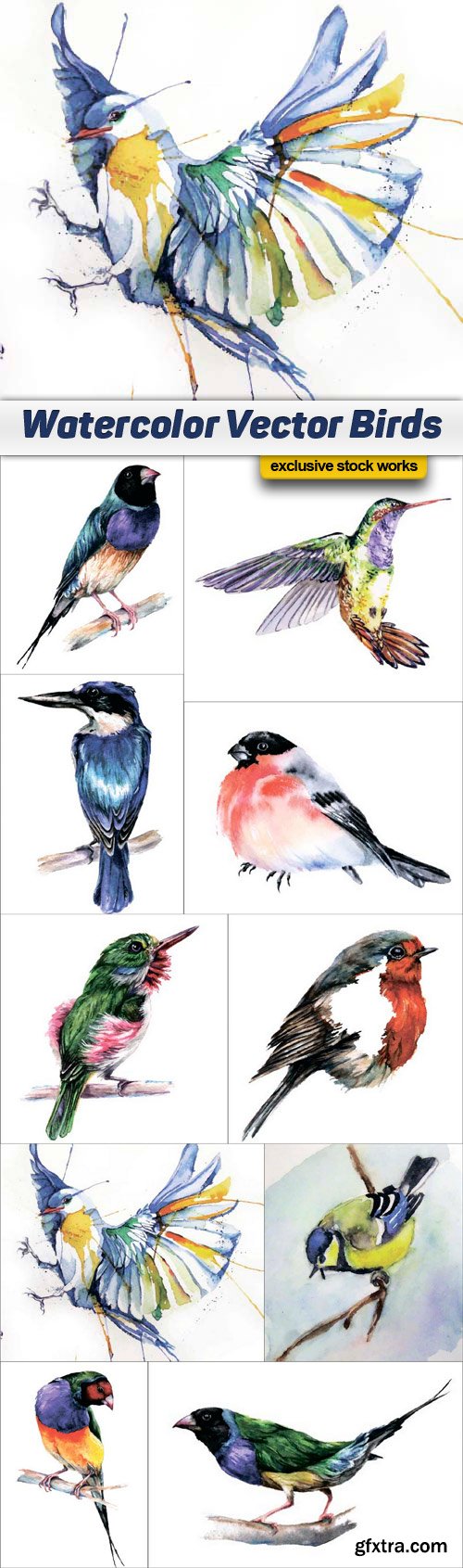 Watercolor Vector Birds - 10x EPS