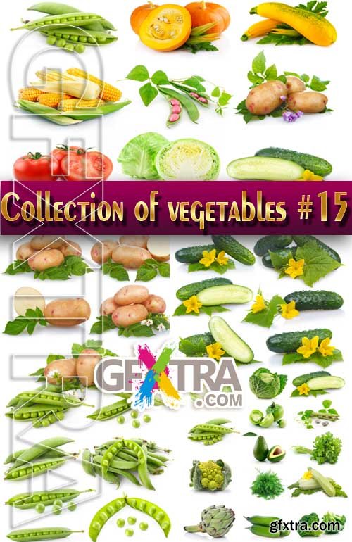 Food. Mega Collection. Vegetables #15 - Stock Photo