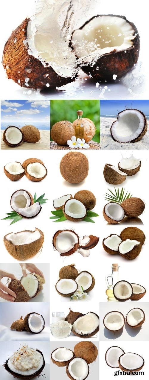 Coconut raster graphics