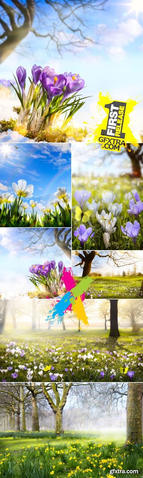 Stock Photo - Spring Nature 2015