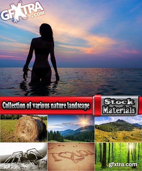 Collection of various nature landscape sea sand flower grass field sunset 25 HQ Jpeg