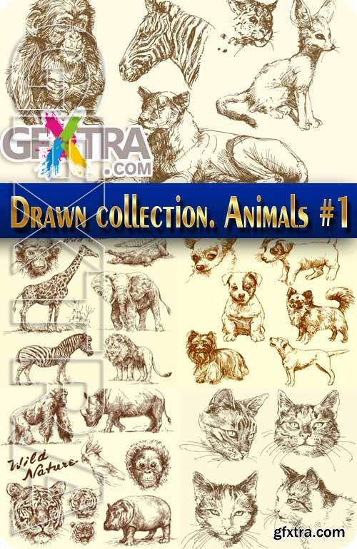 Hand drawn collection. Animals #1 - Stock Vector