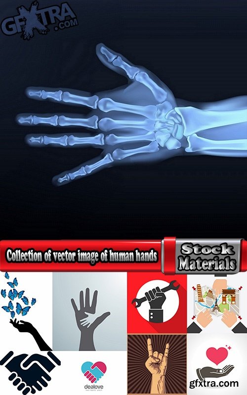 Collection of vector image of human hands various hand gestures 25 Eps