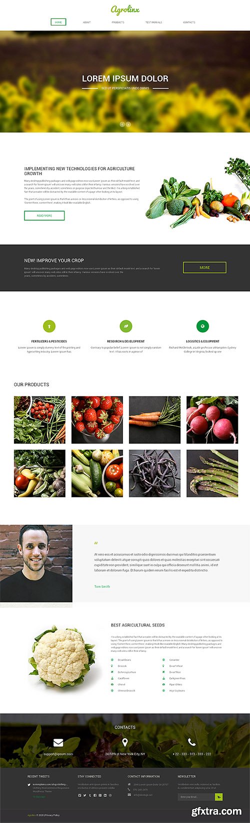 CreativeMarket - Agrolinx Responsive One Page Theme