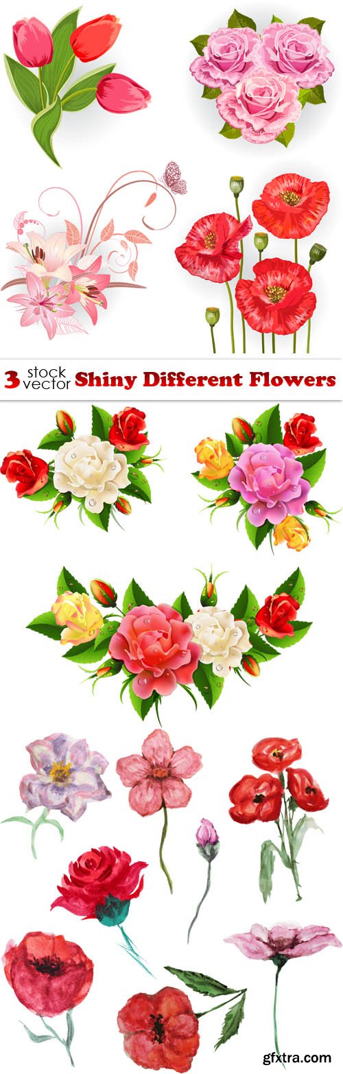 Vectors - Shiny Different Flowers