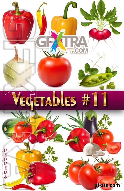 Fresh vegetables #11 - Stock Vector