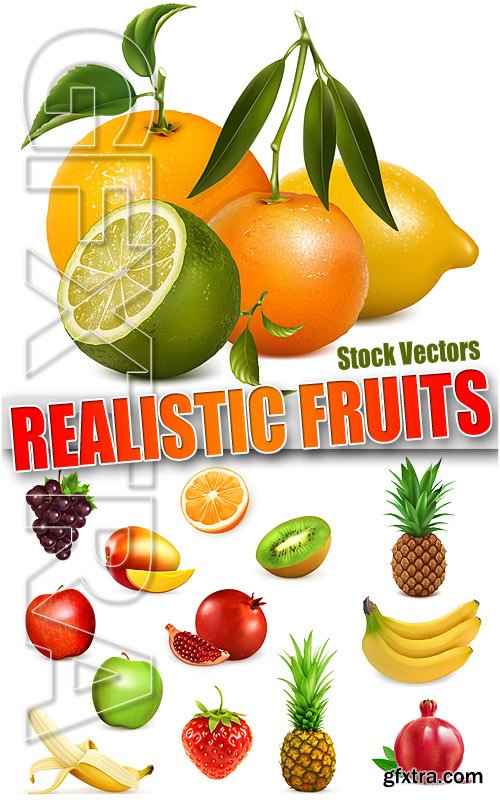 Realistic fruits - Stock Vectors